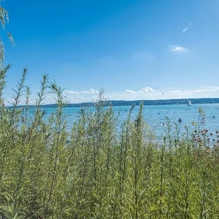 Appartement Tiny Haus 2 - Feige