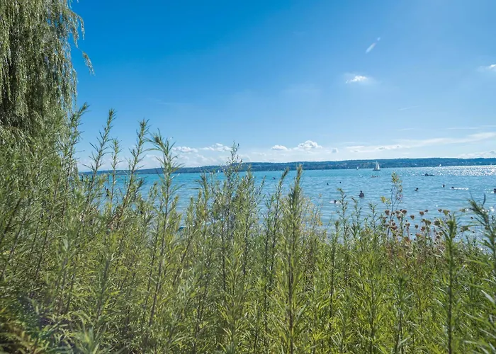 Appartement Tiny Haus 2 - Feige